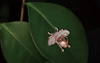 Insect Jewelry Design