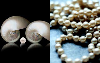 Mother of Pearl vs Pearl