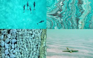 Turquoise color