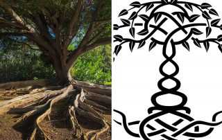 Tree-of-Life-Symbol