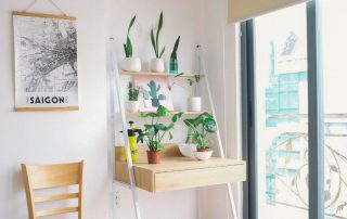 indoor houseplants