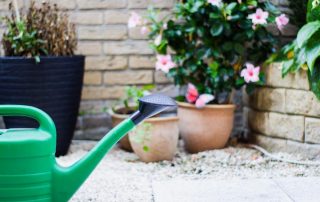 Water-Your-Plants-when-on-vacation