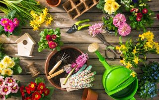 Essential-Gardening-Tools-