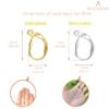 BEADNOVA Leverback Earring Hooks 80pcs French Ear Wire Lever Back Earwire for Jewelry Making Crafting (Gold and Silver)