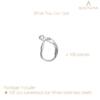 BEADNOVA Stainless Steel Leverback Earring Hooks 100pcs French Ear Wire Lever Back Earwire for Jewelry Making Crafting