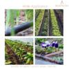 BEADNOVA Drip Irrigation Parts 10 Pcs 1/2 Inch Barbed Tee Couplings Drip Irrigation Fittings Drip Line Connectors for 1/2 Inch Irrigation Tubing Garden Watering System (10pcs)