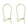 BEADNOVA Ear Wire Hooks 14K Gold Filled Kidney Earring Hook Wire Earring Findings for Earring Making Jewelry Making Earring DIY (35mm, 2pcs)