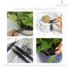 BEADNOVA Bonsai Scissors Pruning Scissors Bonsai Shears Leaves Trimmer for Plant Leaves Gardening Bonsai (6 Pcs)