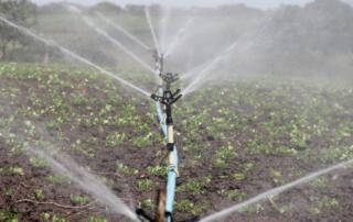 -make-a-drip-irrigation-system