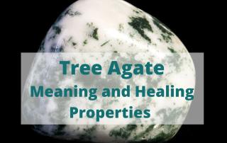 tree agate meaning and healing properties