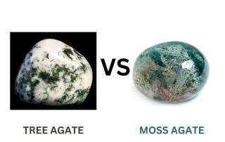 TREE AGATE VS MOSS AGATE