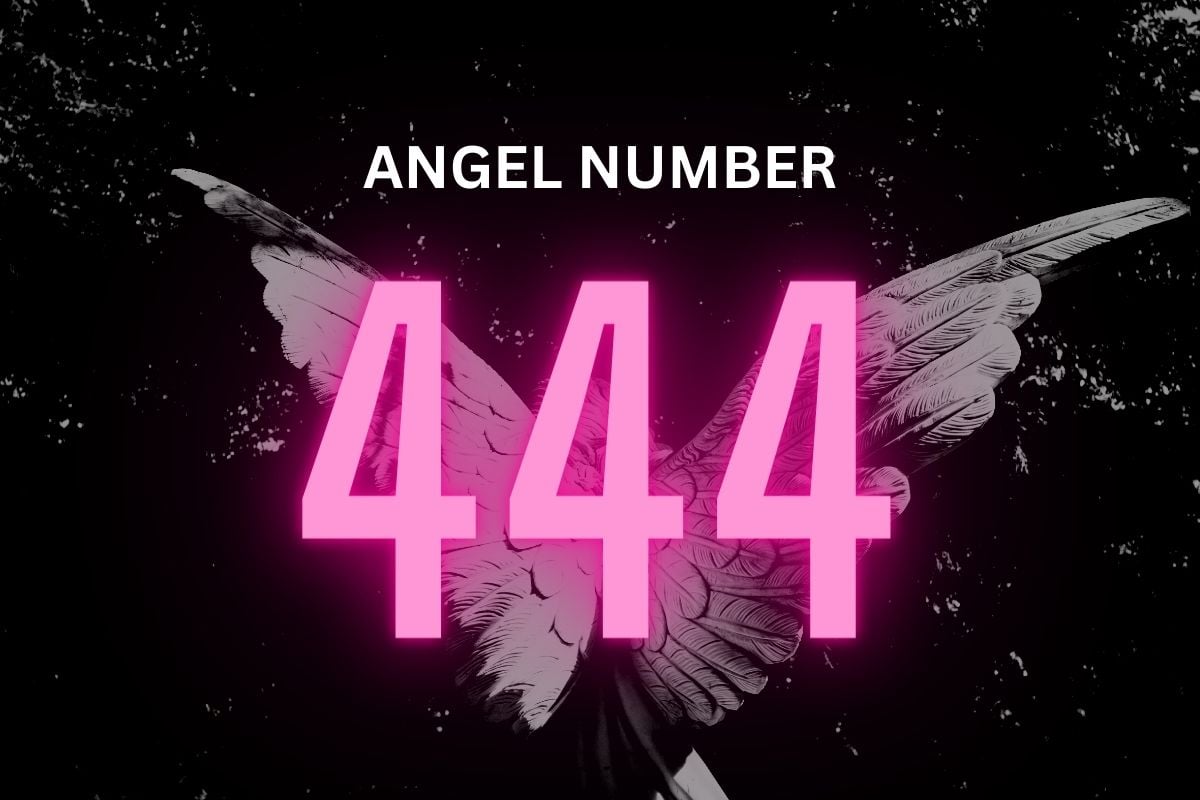 44 Angel Number Meaning: Foundation of Life